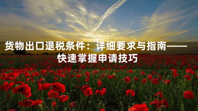 货物出口退税条件：详细要求与指南——快速掌握申请技巧