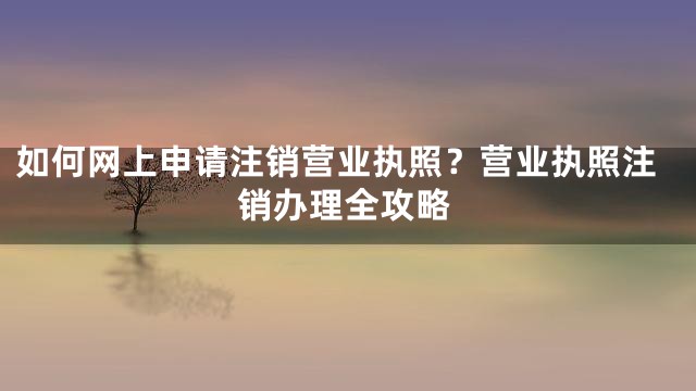 如何网上申请注销营业执照？营业执照注销办理全攻略