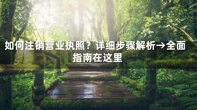 如何注销营业执照？详细步骤解析→全面指南在这里