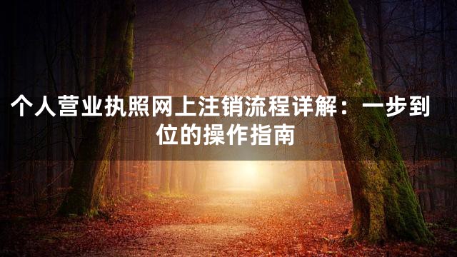 个人营业执照网上注销流程详解：一步到位的操作指南