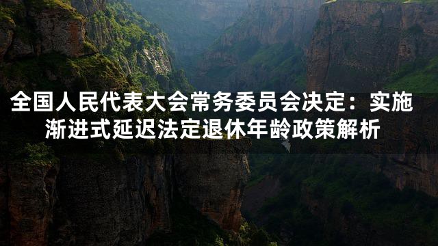 全国人民代表大会常务委员会决定：实施渐进式延迟法定退休年龄政策解析