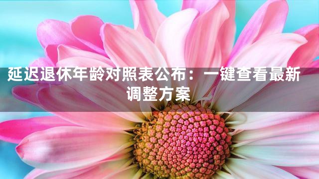延迟退休年龄对照表公布：一键查看最新调整方案