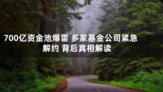 700亿资金池爆雷 多家基金公司紧急解约 背后真相解读