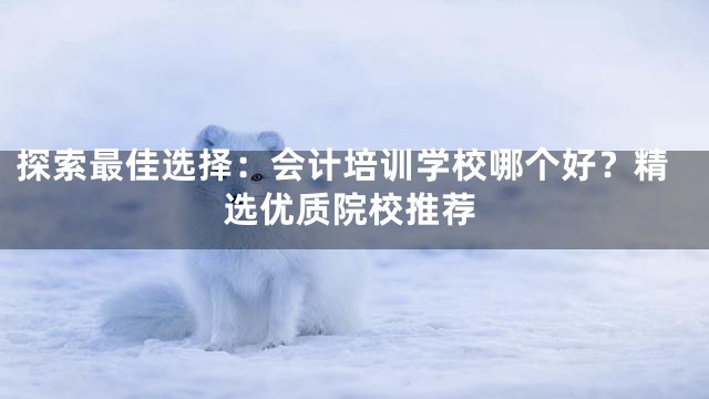 探索最佳选择：会计培训学校哪个好？精选优质院校推荐