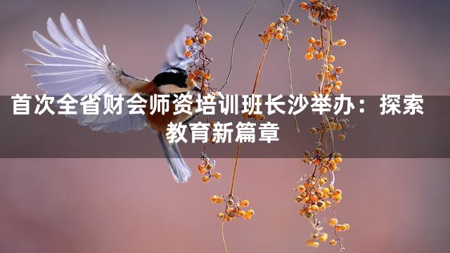 首次全省财会师资培训班长沙举办：探索教育新篇章