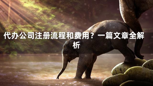 代办公司注册流程和费用？一篇文章全解析