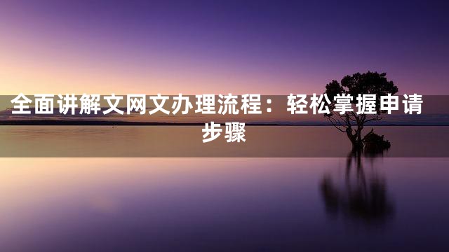 全面讲解文网文办理流程：轻松掌握申请步骤