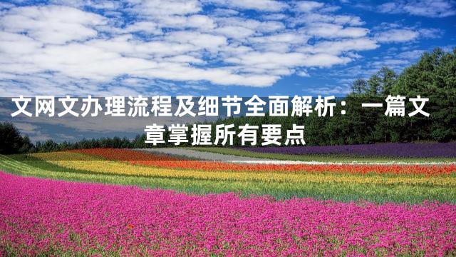 文网文办理流程及细节全面解析：一篇文章掌握所有要点