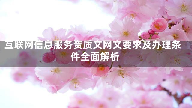 互联网信息服务资质文网文要求及办理条件全面解析