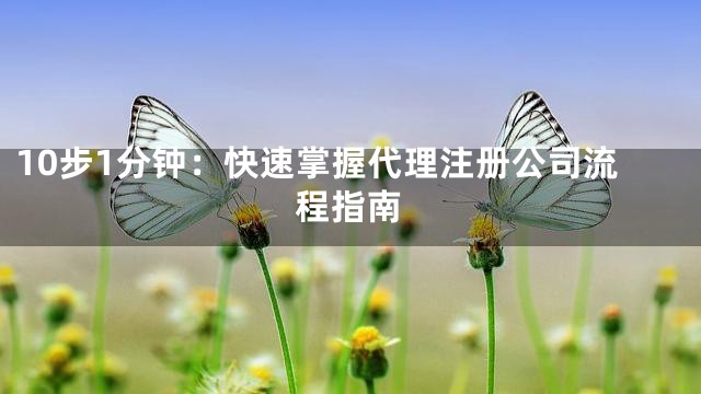 10步1分钟：快速掌握代理注册公司流程指南