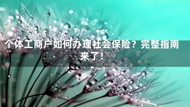 个体工商户如何办理社会保险？完整指南来了！