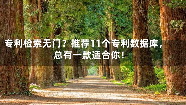 专利检索无门？推荐11个专利数据库，总有一款适合你！