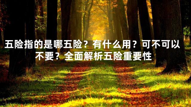 五险指的是哪五险？有什么用？可不可以不要？全面解析五险重要性