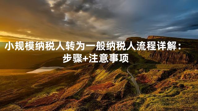 小规模纳税人转为一般纳税人流程详解：步骤+注意事项