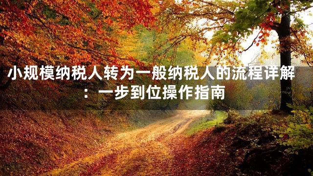 小规模纳税人转为一般纳税人的流程详解：一步到位操作指南
