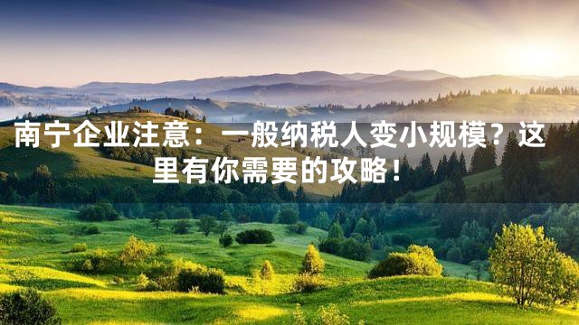 南宁企业注意：一般纳税人变小规模？这里有你需要的攻略！