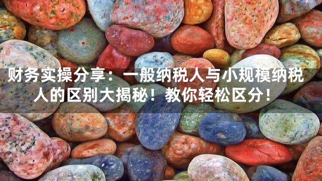 财务实操分享：一般纳税人与小规模纳税人的区别大揭秘！教你轻松区分！
