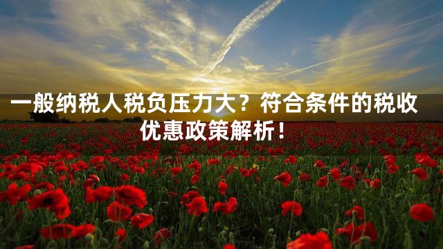 一般纳税人税负压力大？符合条件的税收优惠政策解析！