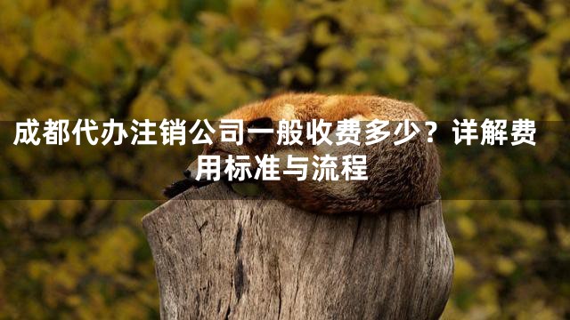 成都代办注销公司一般收费多少？详解费用标准与流程
