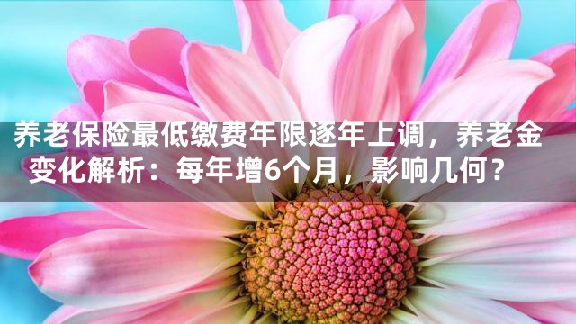 养老保险最低缴费年限逐年上调，养老金变化解析：每年增6个月，影响几何？