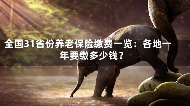 全国31省份养老保险缴费一览：各地一年要缴多少钱？