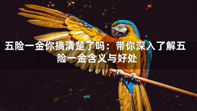 五险一金你搞清楚了吗：带你深入了解五险一金含义与好处