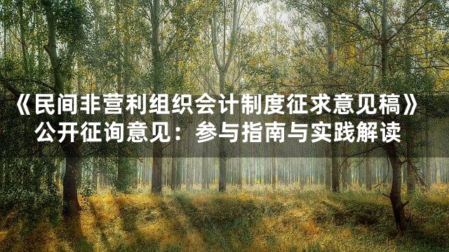 《民间非营利组织会计制度征求意见稿》公开征询意见：参与指南与实践解读