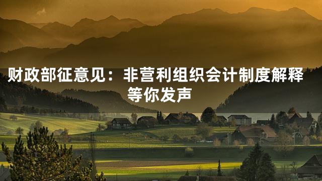 财政部征意见：非营利组织会计制度解释等你发声