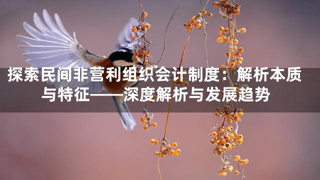 探索民间非营利组织会计制度：解析本质与特征——深度解析与发展趋势