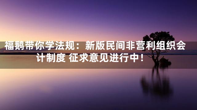 福鹅带你学法规：新版民间非营利组织会计制度 征求意见进行中！