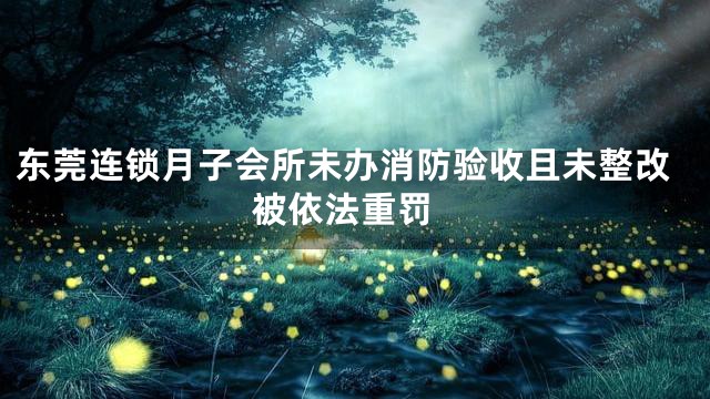 东莞连锁月子会所未办消防验收且未整改 被依法重罚