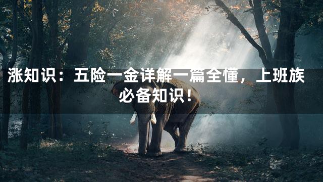 涨知识：五险一金详解一篇全懂，上班族必备知识！