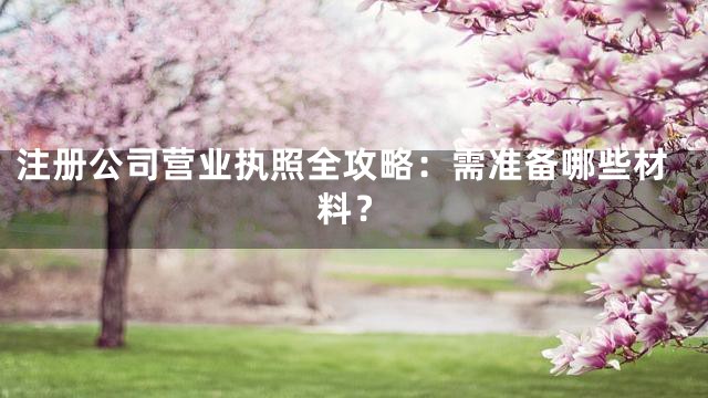 注册公司营业执照全攻略：需准备哪些材料？