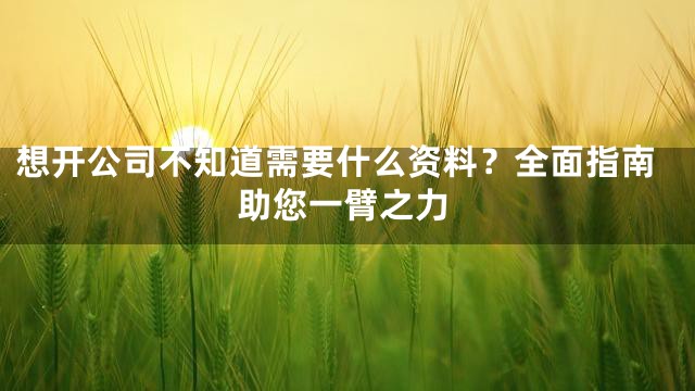 想开公司不知道需要什么资料？全面指南助您一臂之力