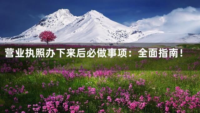 营业执照办下来后必做事项：全面指南！