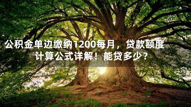 公积金单边缴纳1200每月，贷款额度计算公式详解！能贷多少？