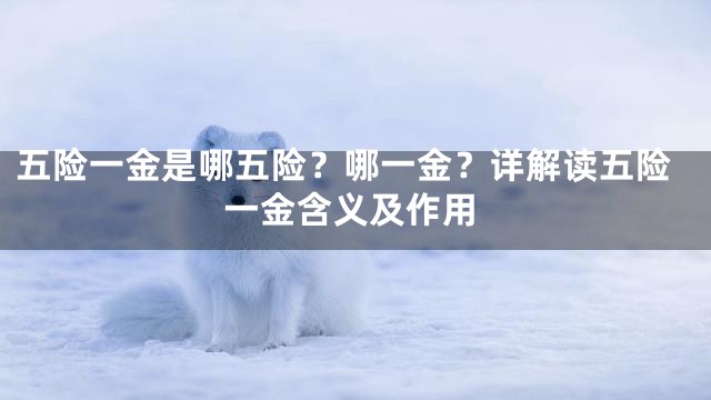 五险一金是哪五险？哪一金？详解读五险一金含义及作用
