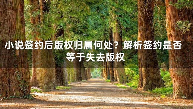 小说签约后版权归属何处？解析签约是否等于失去版权