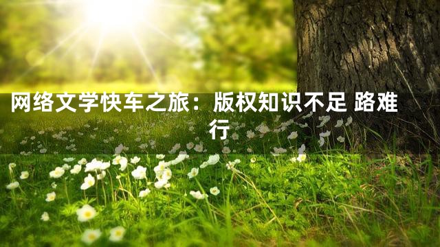网络文学快车之旅：版权知识不足 路难行