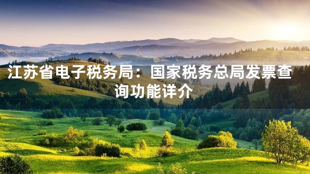 江苏省电子税务局：国家税务总局发票查询功能详介