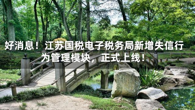 好消息！江苏国税电子税务局新增失信行为管理模块，正式上线！