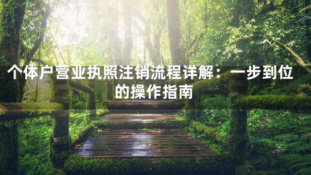 个体户营业执照注销流程详解：一步到位的操作指南