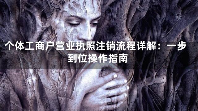 个体工商户营业执照注销流程详解：一步到位操作指南