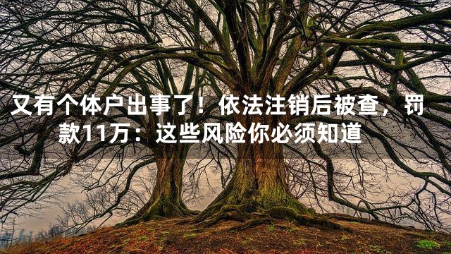 又有个体户出事了！依法注销后被查，罚款11万：这些风险你必须知道