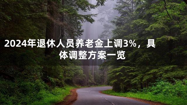 2024年退休人员养老金上调3%，具体调整方案一览