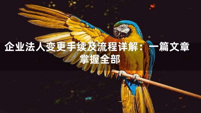 企业法人变更手续及流程详解：一篇文章掌握全部