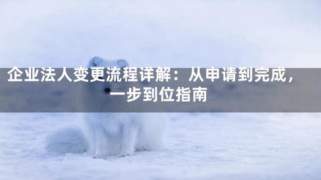 企业法人变更流程详解：从申请到完成，一步到位指南