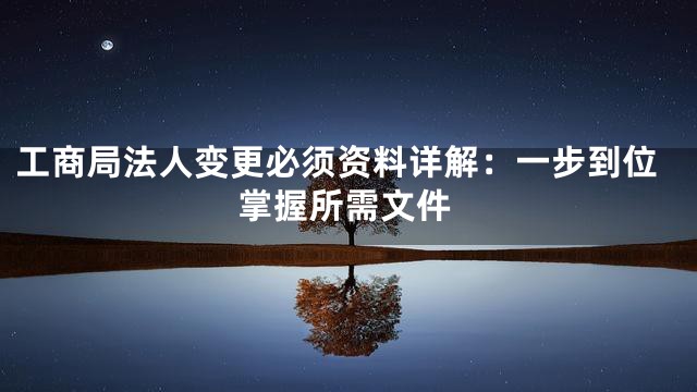 工商局法人变更必须资料详解：一步到位掌握所需文件