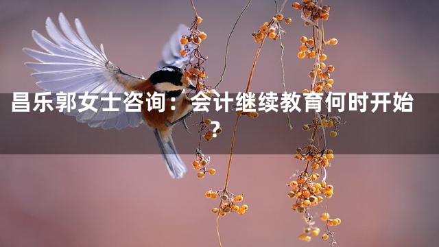 昌乐郭女士咨询：会计继续教育何时开始？