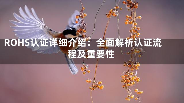 ROHS认证详细介绍：全面解析认证流程及重要性